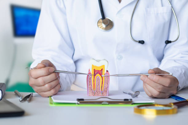 Best Emergency TMJ Treatment in Dwight, IL